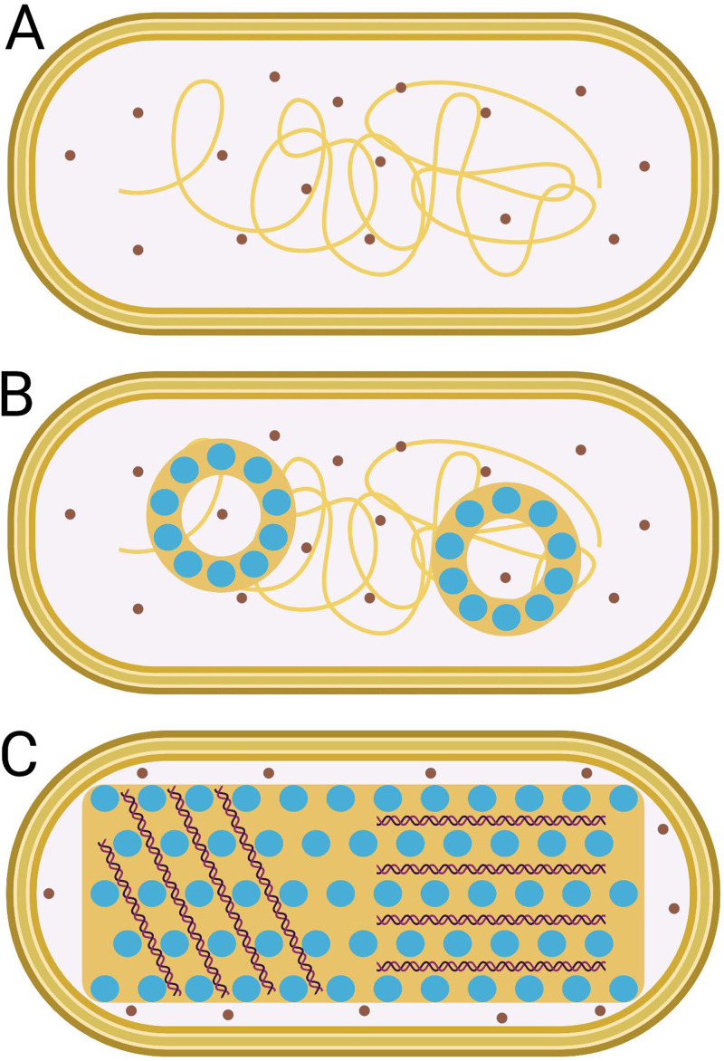 FIG 4