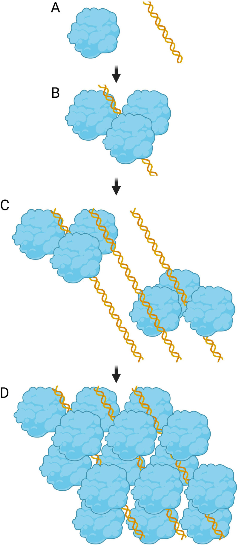 FIG 3