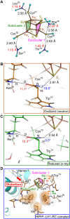 Fig. 4.