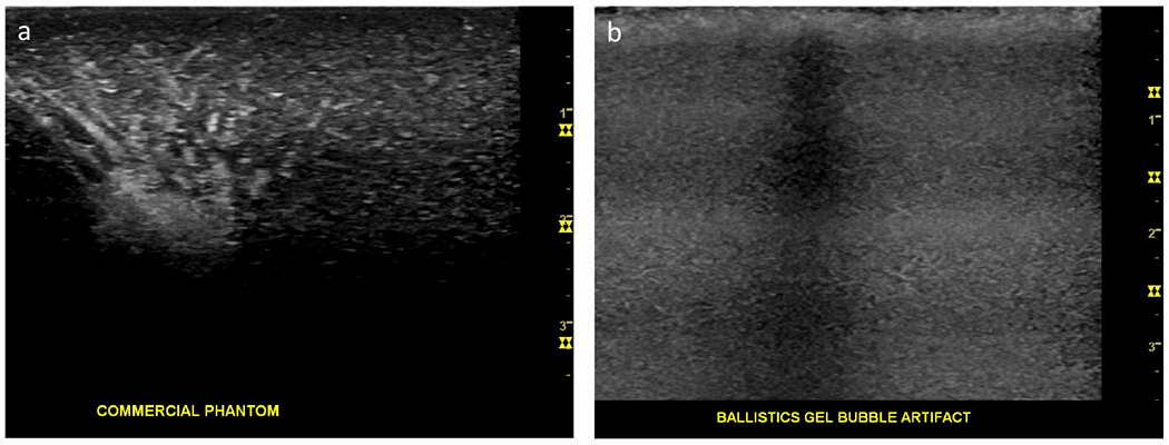 Figure 4: