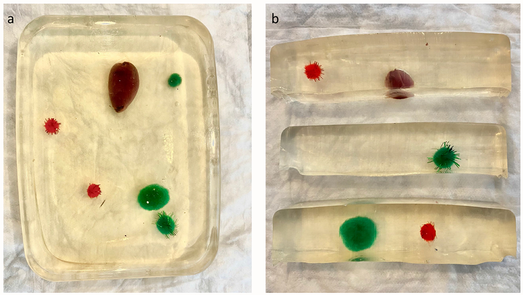 Figure 1: