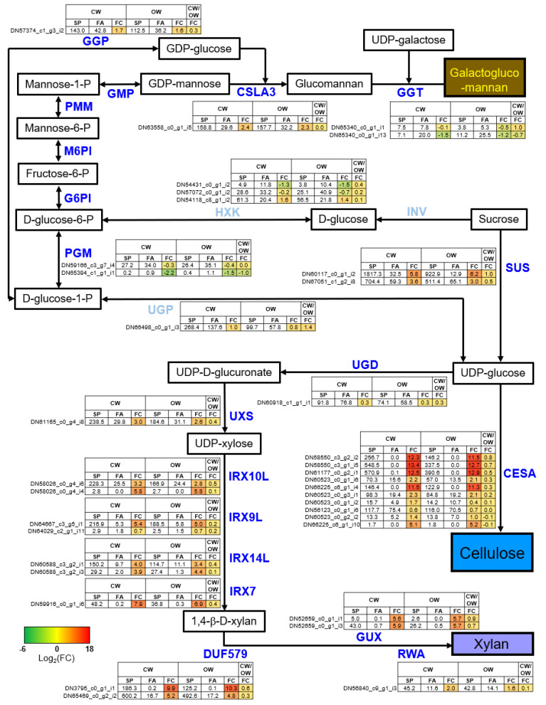 Figure 5
