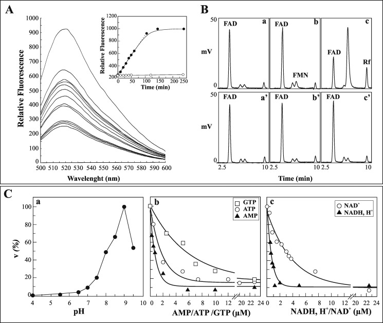 FIGURE 7.