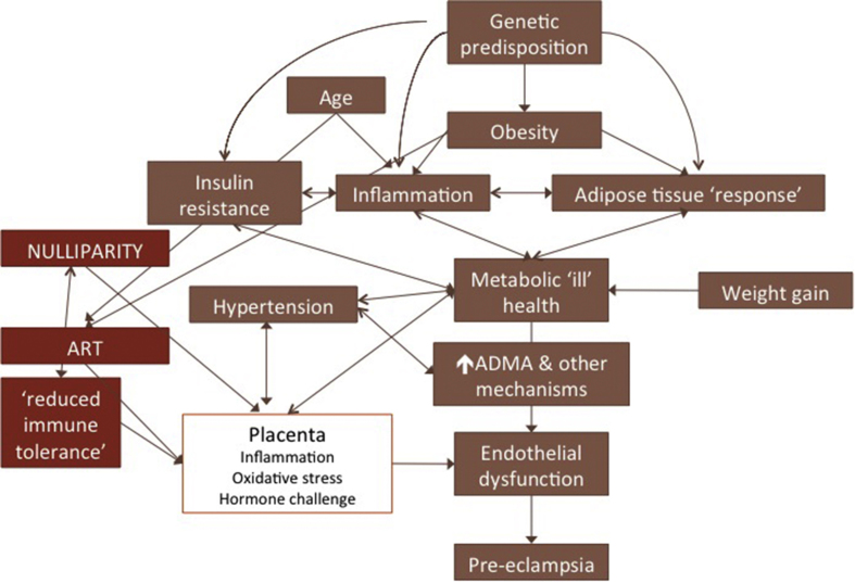 Fig. 1