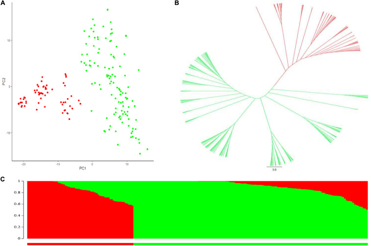 FIGURE 1