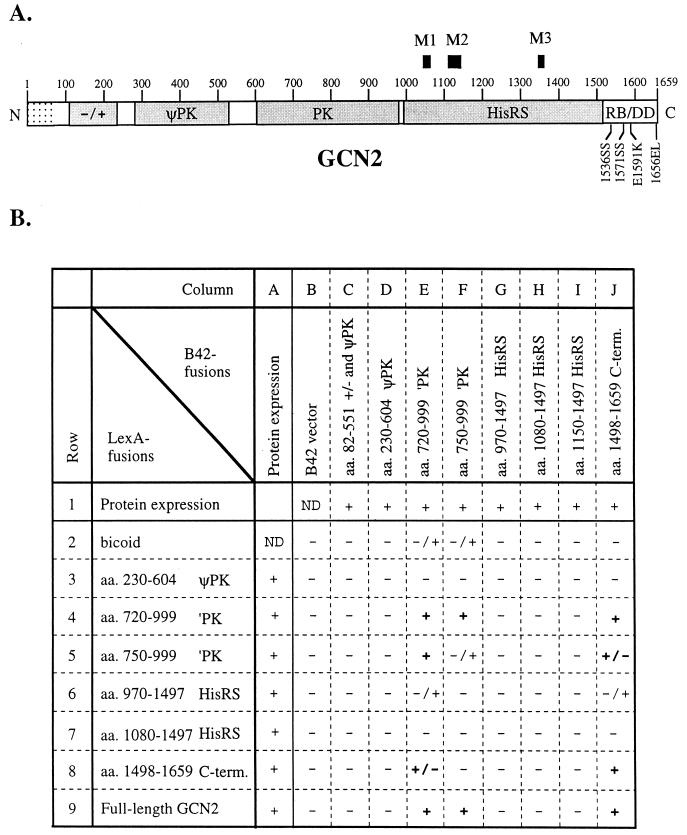 FIG. 1