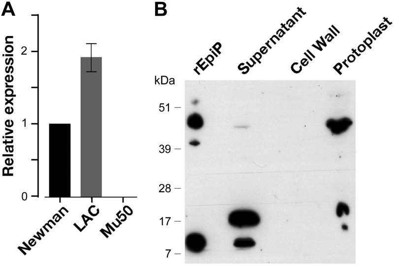 Figure 9.