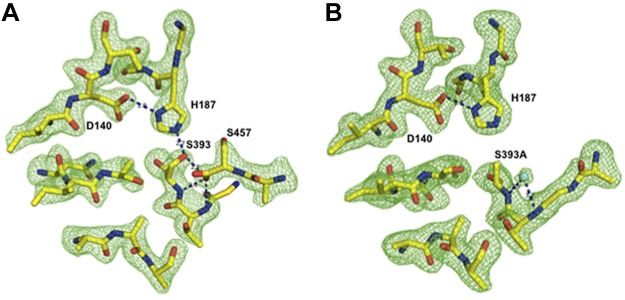 Figure 3.