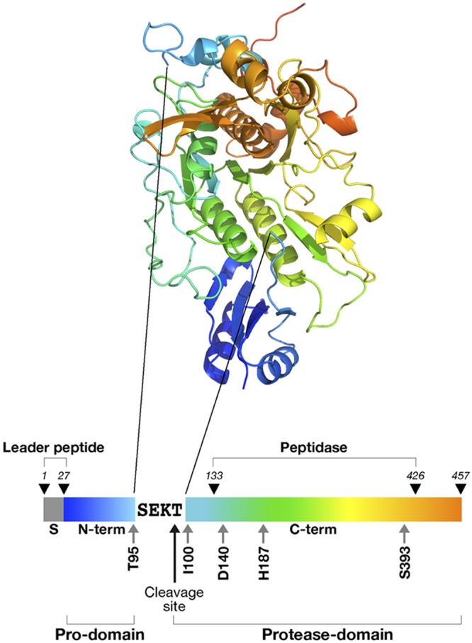 Figure 1.