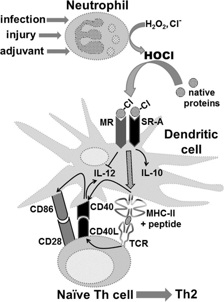 Fig 12