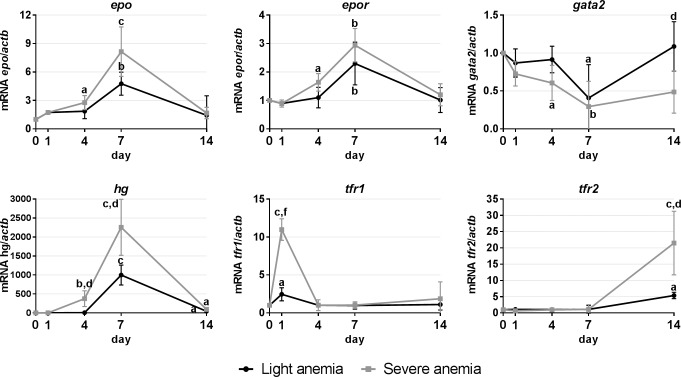 Fig 4