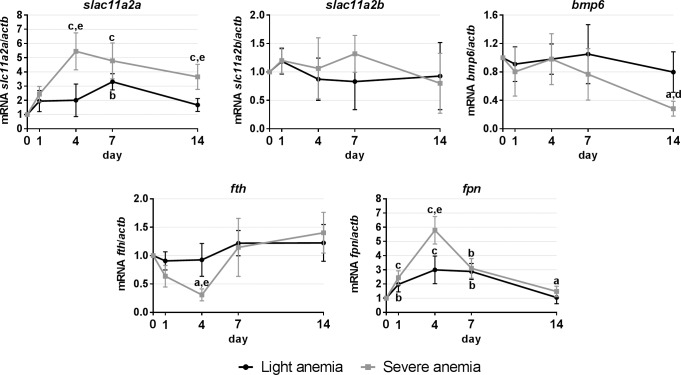 Fig 6