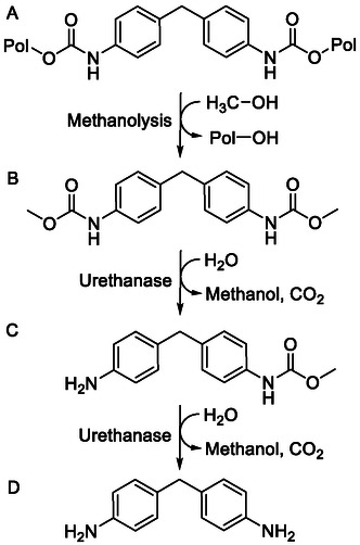 Scheme 1