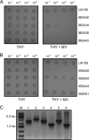 FIG. 3.
