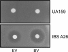 FIG. 4.
