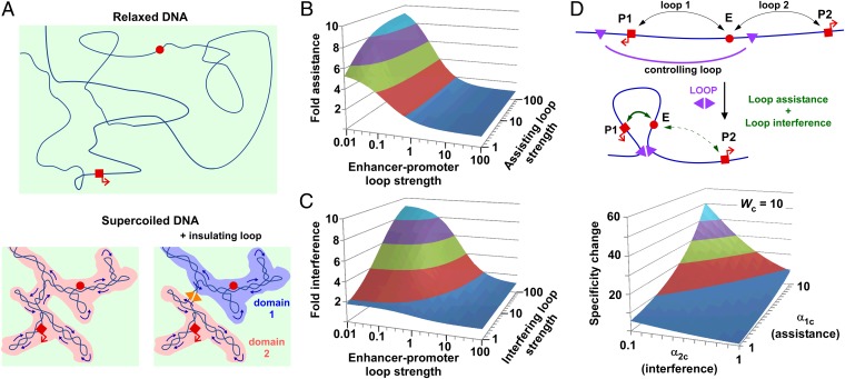 Fig. 7.