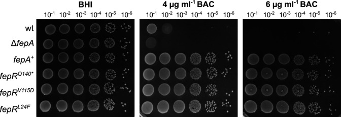 FIG 2