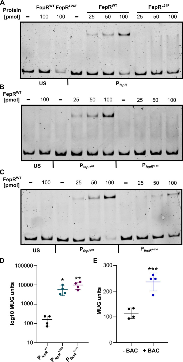 FIG 3