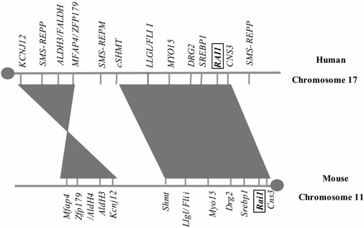 Fig. (2).