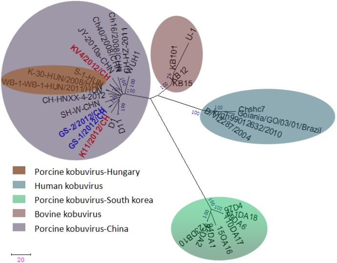 Figure 4