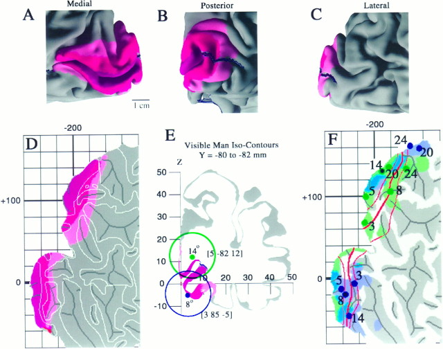 Fig. 9.