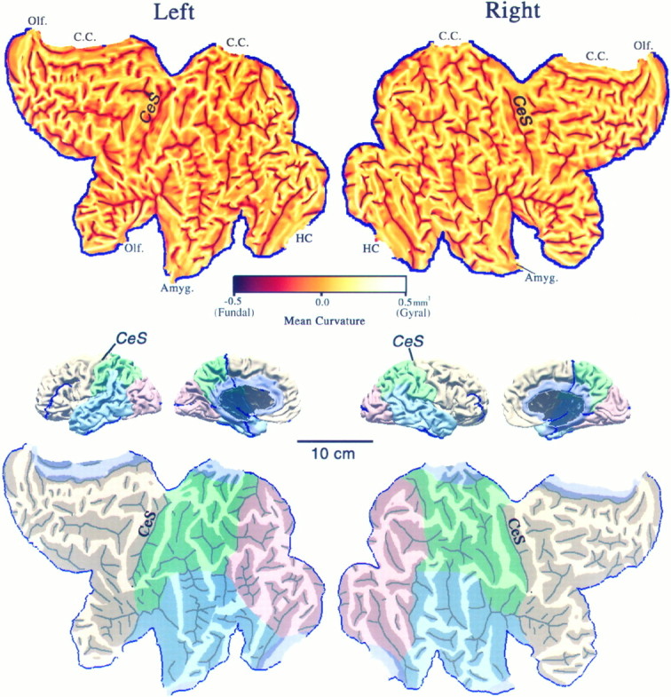 Fig. 3.