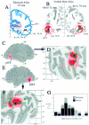 Fig. 8.