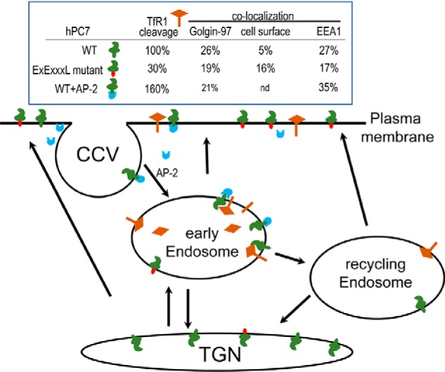 Figure 13.