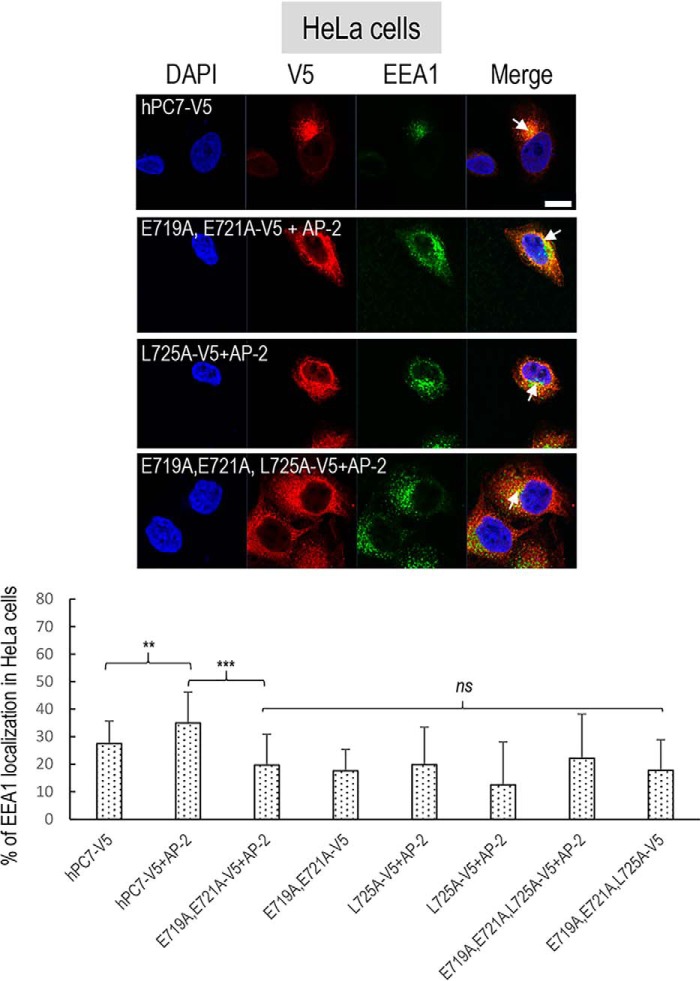 Figure 11.