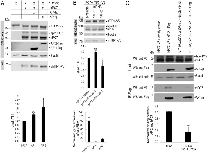 Figure 10.