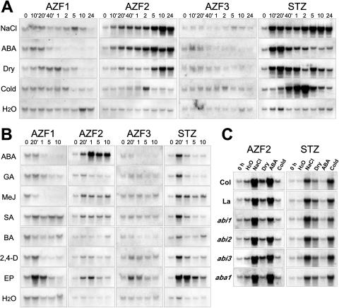 Figure 5.