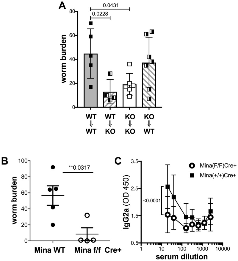 Fig 4