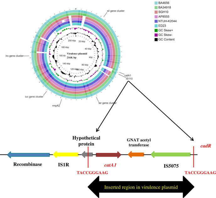 Figure 4