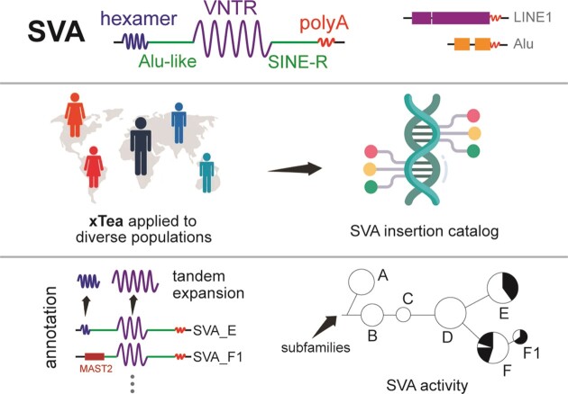 Graphical Abstract