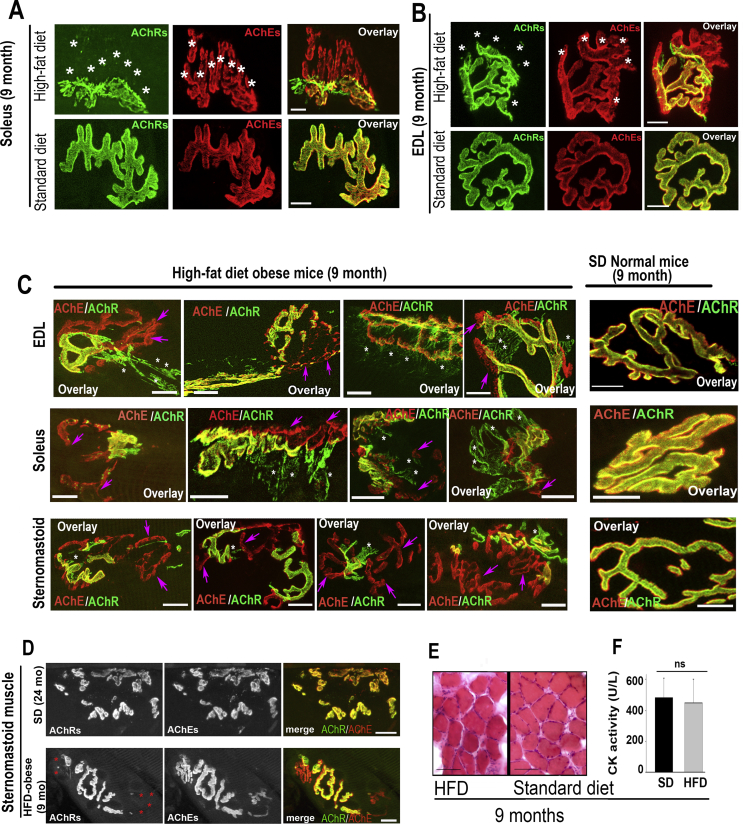 Figure 3