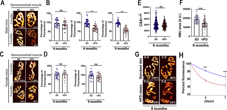 Figure 4