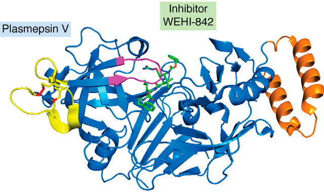 Figure 7.