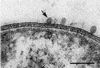 FIG. 9