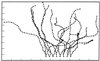 FIG. 6