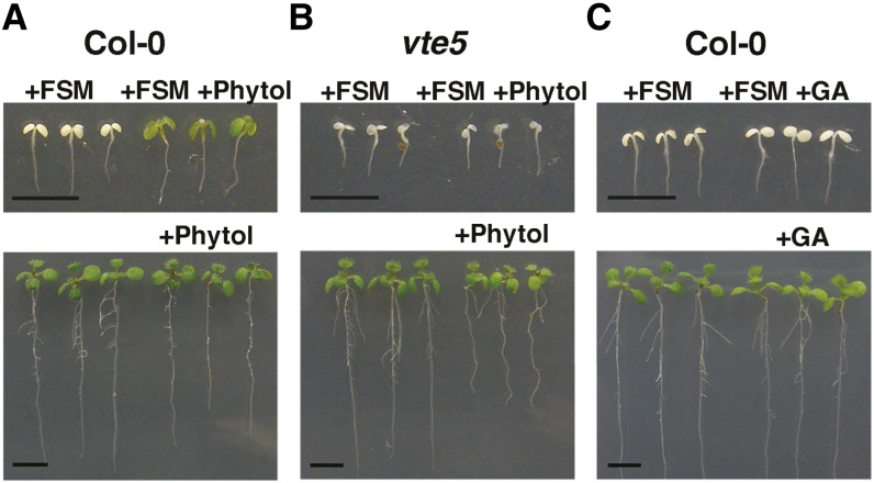 Figure 6.