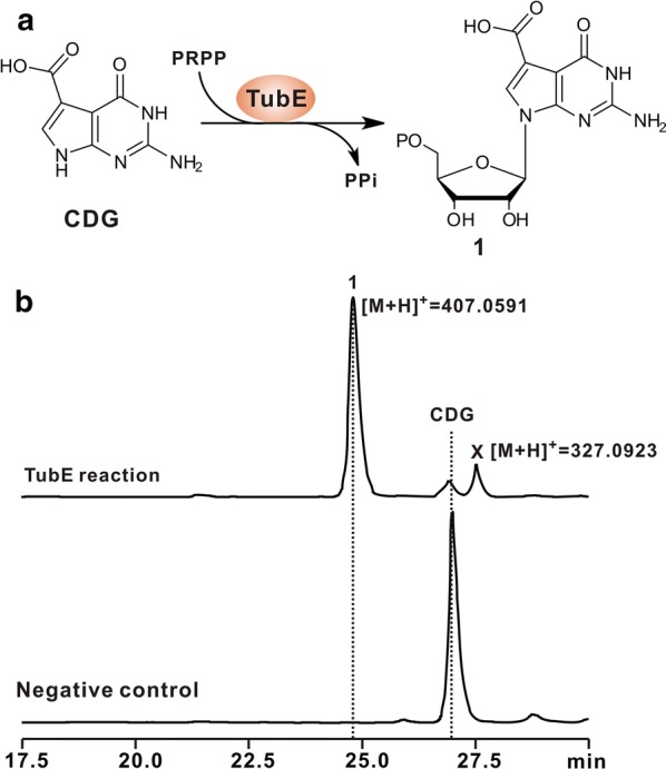 Fig. 3