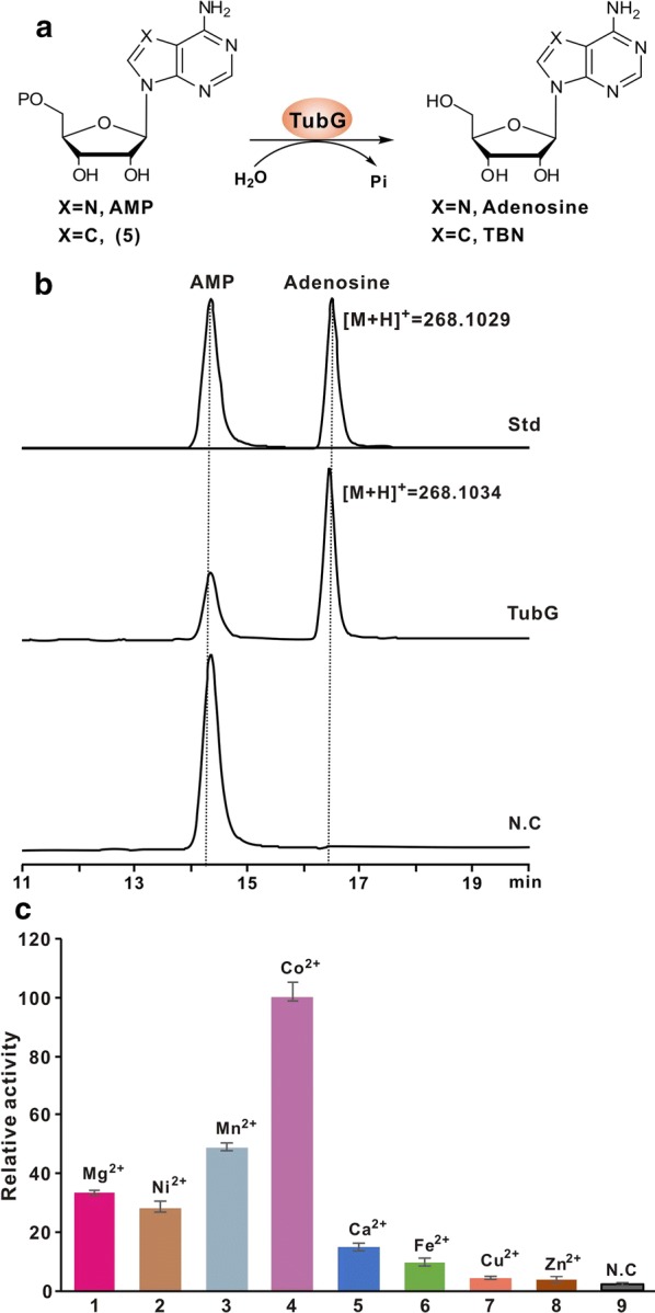 Fig. 5