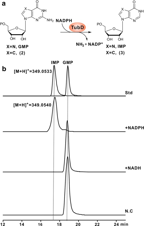 Fig. 4