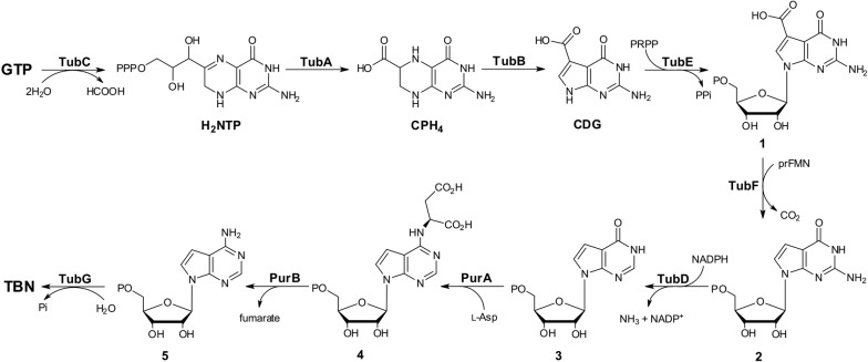 Fig. 6