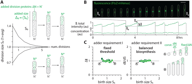 Figure 5: