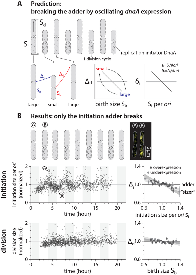 Figure 3: