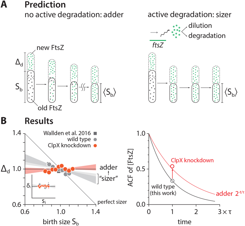 Figure 7: