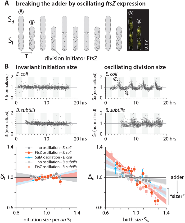 Figure 4: