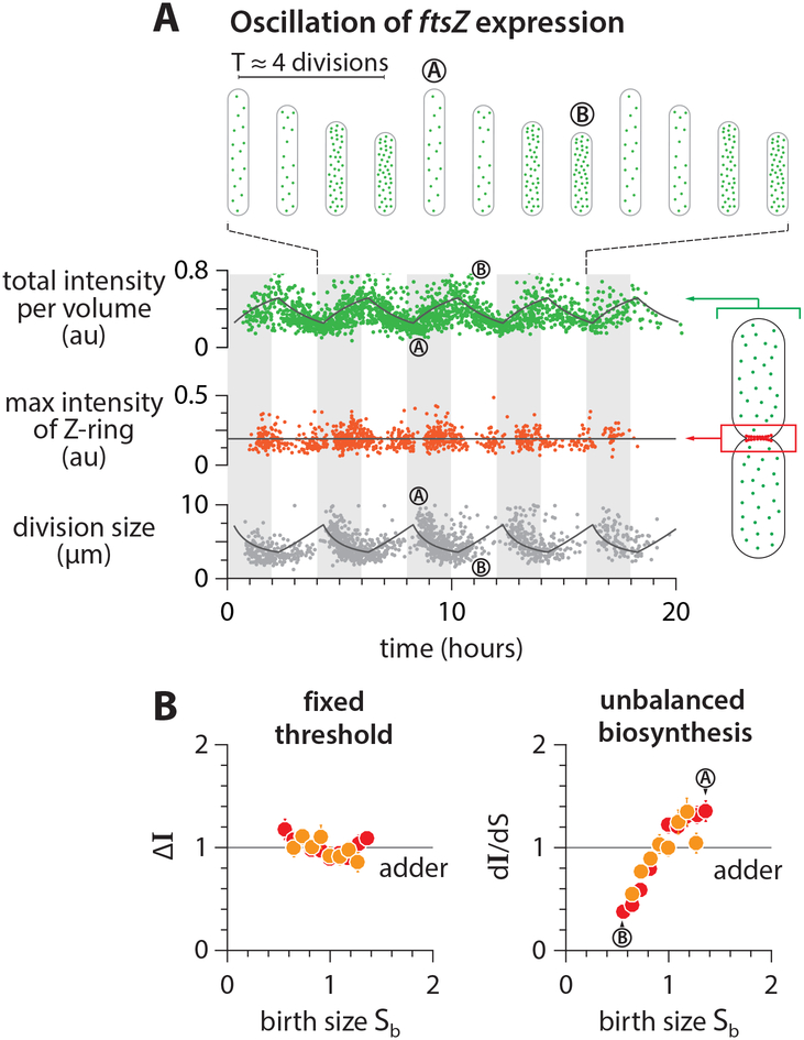 Figure 6: