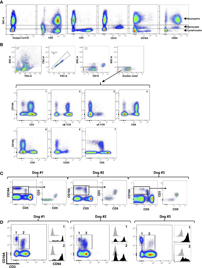 Figure 2